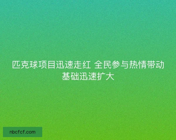 匹克球项目迅速走红 全民参与热情带动基础迅速扩大